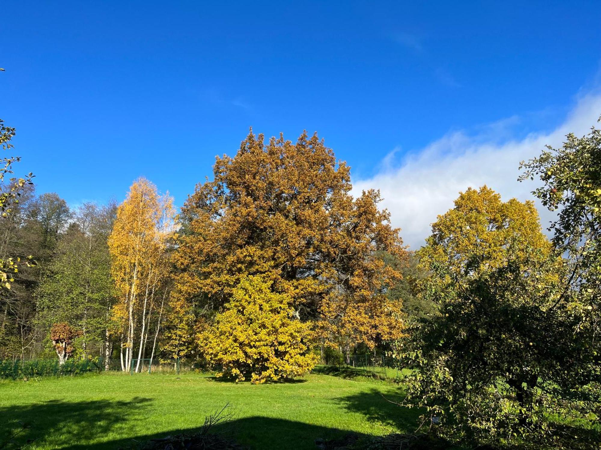 Casa vacanze Auglu Ielas Pirts Maja